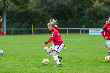 Bild 34 - Frauen SV Henstedt Ulzburg II - TSV Klausdorf : Ergebnis: 2:1